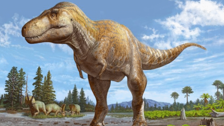 The Enigmatic Giants of Prehistory