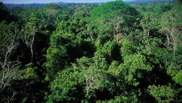 Lost Empires of the Amazon Rainforest