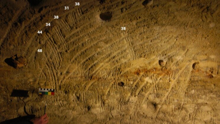 Archaeologists Uncover Mystical Role of Young Children in Ice Age Cave Art