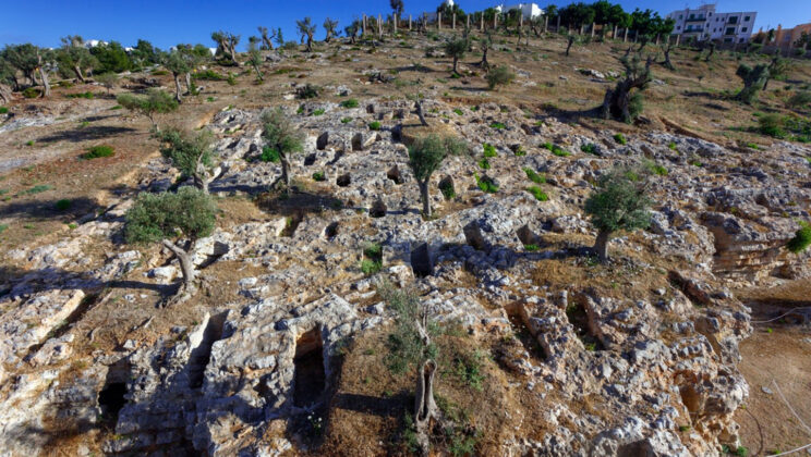 DNA Unravels the True Story of Phoenician and Punic Peoples