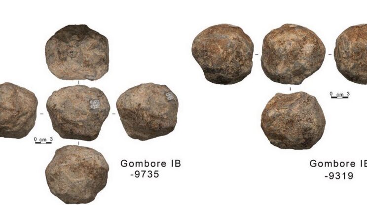 Early Hominins May Have Used Natural Stone Spheres as Tools for Over a Million Years