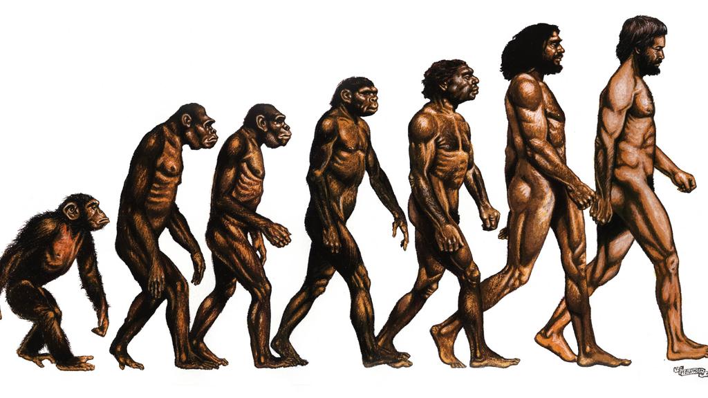 The Monkey Myth: Did Humans Evolve From Apes or Share a Common Ancestor?