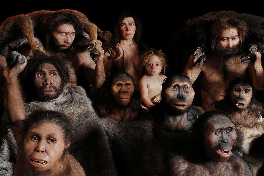 Humans Were Never Alone: The Untold Story of Our Lost Cousins