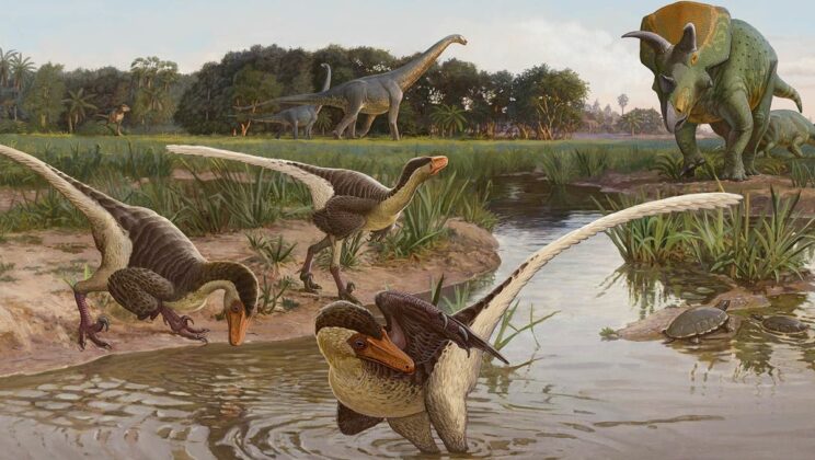 When Giants Ruled the Planet: Mysteries of Prehistoric Life