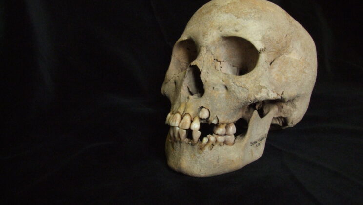 Along the Angara River, families buried their children and relatives one after another roughly 5,500 years ago, and ancient DNA from their teeth now reveals how a mysterious plague swept through these mobile hunter-gatherer communities in a matter of decades