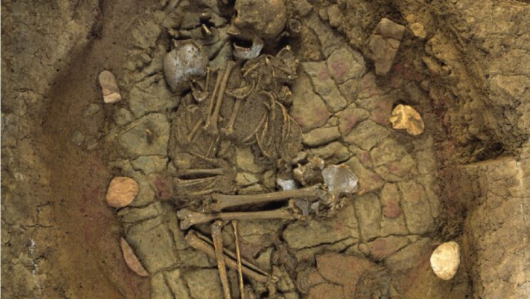 For more than 4,000 years, prehistoric graves across Europe preserved haunting scenes of adults and children buried in close embraces that looked like mothers cradling their offspring, yet ancient DNA is now revealing that many of these intimate burials concealed far more unexpected family relationships than anyone had imagined