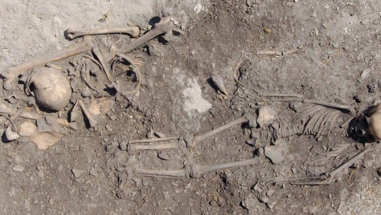 For thousands of years, a Stone Age cemetery on Sweden’s Baltic island of Gotland quietly preserved an extraordinary pattern of children, parents, siblings, and even more distant relatives sharing the same graves, yet the hidden logic behind these carefully repeated burials remained invisible until ancient DNA reconstructed the family connections that archaeology alone could never see