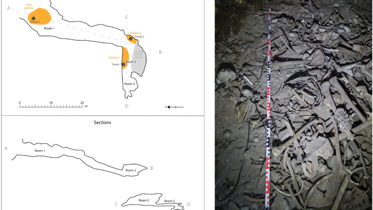 For more than 1,500 years, a quiet cave high above the Himalayan valleys preserved the remains of people whose DNA carried an almost perfectly balanced blend of ancient Tibetan and North Indian ancestry, inviting a new look at when two worlds first came together across one of Earth’s most formidable mountain landscapes
