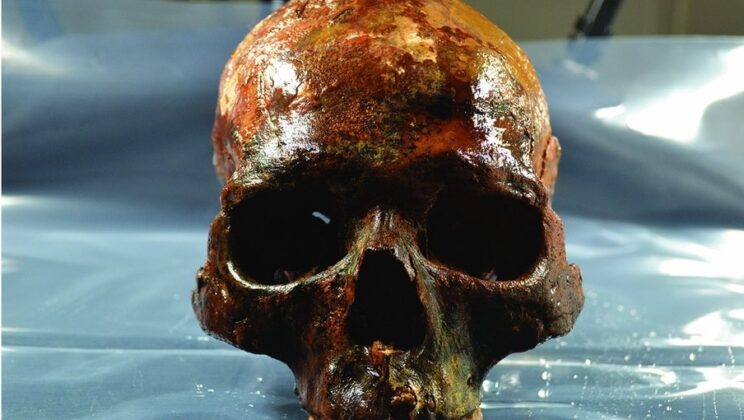 Mesolithic skulls found underwater show repeated head injuries and strange postmortem treatment