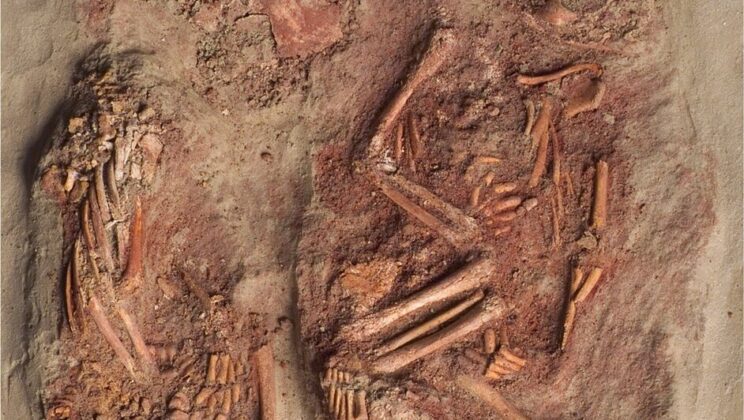The oldest known identical twins were buried together 30,000 years ago