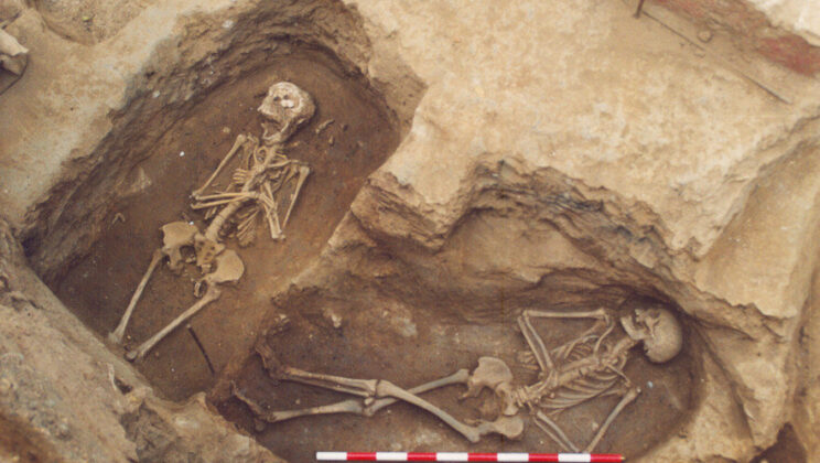 For some Romans, the meat buried with them matched what they ate in life