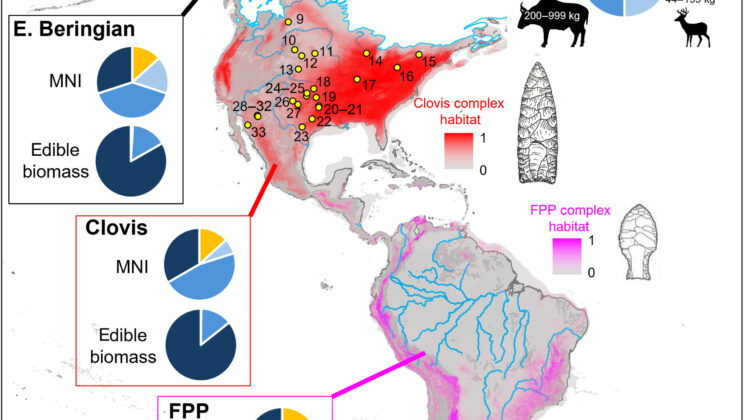 Early Americans got most of their food from mammoths and other giant herbivores