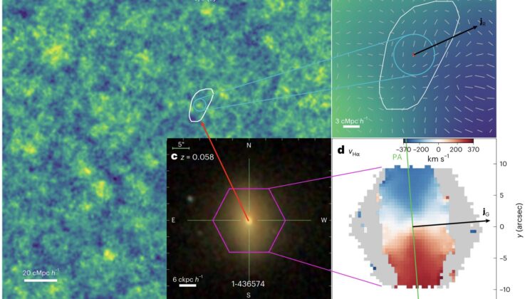 Galaxies may still be spinning from gravitational forces that acted before they formed