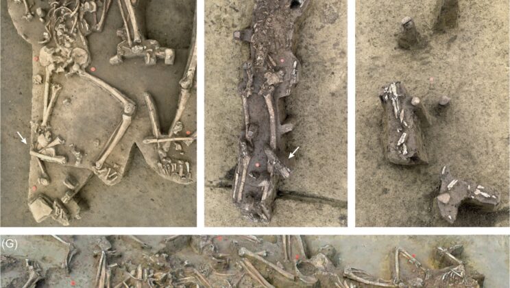 77 of 78 people buried at a 7,000-year-old settlement were missing their skulls