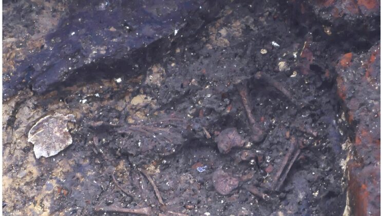 This three-month-old was buried beneath a medieval brothel, but evidence points away from infanticide