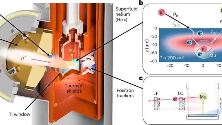 Muonium atoms emerge from superfluid helium at about 2,180 meters per second in a tightly directed beam that could make precision gravity and spectroscopy experiments far more practical