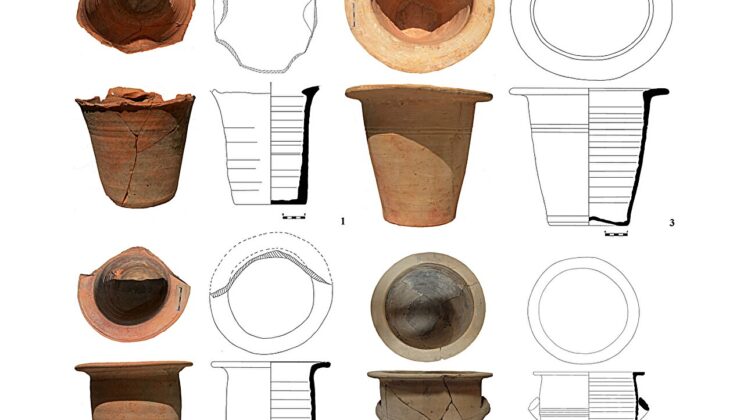 Nearly 2,000-year-old Roman waste preserves traces of a parasite once thought to have originated in Central America