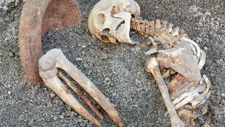 He tried to shield his head from Vesuvius with a household bowl