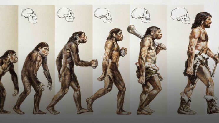 There was no single moment when Homo sapiens suddenly became modern
