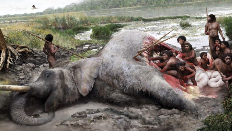 A 125,000-year-old wooden spear lodged between an elephant’s ribs now sits alongside cut marks showing Neanderthals killed and butchered the 3,500-kilogram animal at a German lakeshore