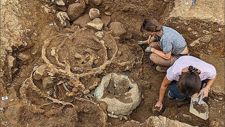 More than 950 Iron Age objects buried near a British power center include parts from at least seven substantial four-wheeled wagons